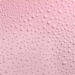 Bien Etre BRUME CORPORELLE "PRETTY BUT WILD" DE SECRET PLAY