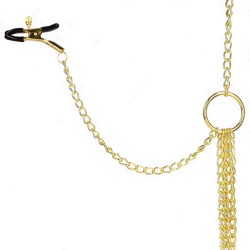 4 PINCES DOREES A SEINS CLITORIS DE KINK