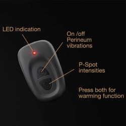 copy of STIMULATEUR PROSTATIQUE VA ET VIENT "P-STROKER" DE "DORCEL"